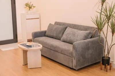Studio with Sofa Bed — Beige Home